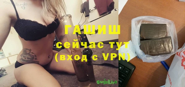 индика Аркадак