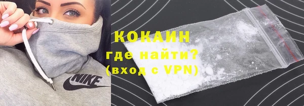 индика Аркадак