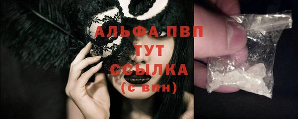 индика Аркадак