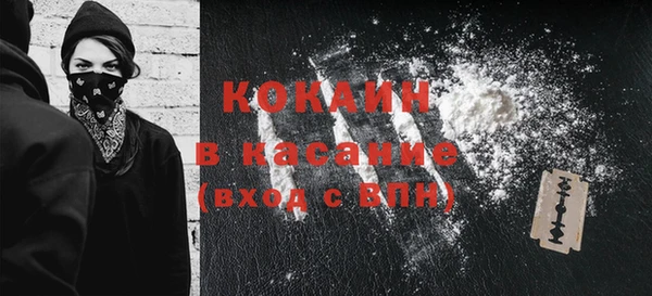 индика Аркадак