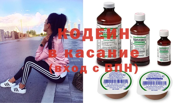индика Аркадак
