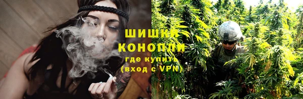 Альфа ПВП Пересвет
