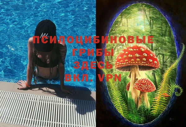 индика Аркадак