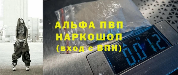 индика Аркадак