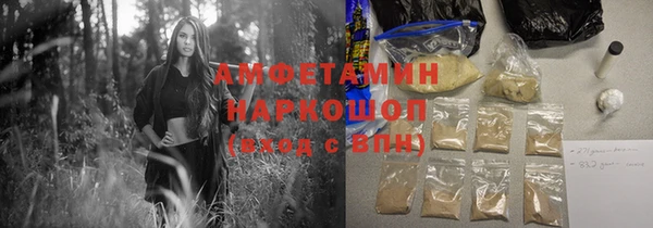 индика Аркадак