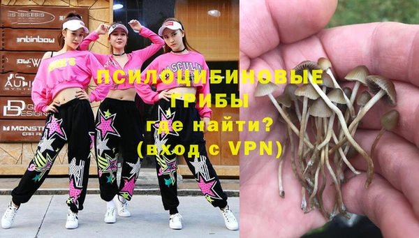 индика Аркадак