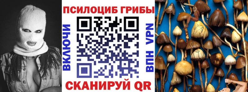 Галлюциногенные грибы MAGIC MUSHROOMS  даркнет сайт  Скопин 