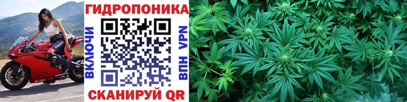 KRAKEN рабочий сайт  наркотики  Скопин  Марихуана индика 